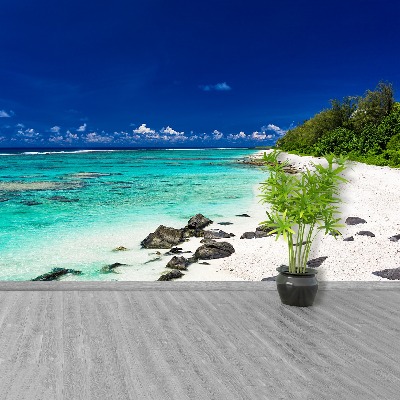 Wallpaper Beach. White sand