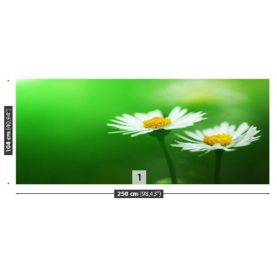 Wallpaper White daisies