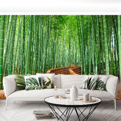 Wallpaper Bamboo forest