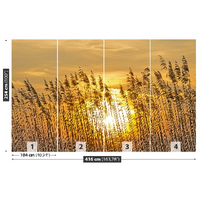 Wallpaper Reed pole