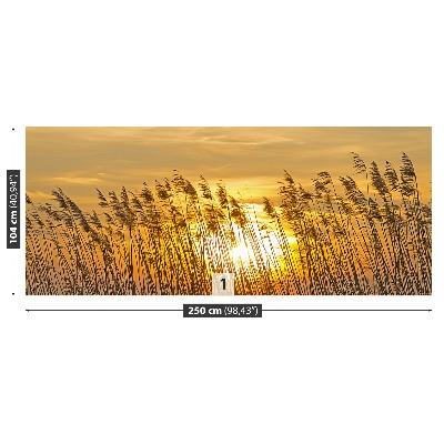 Wallpaper Reed pole