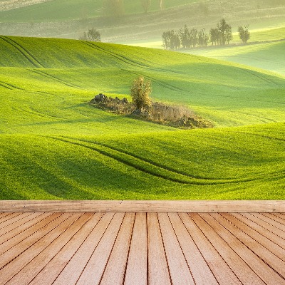 Wallpaper Corn field