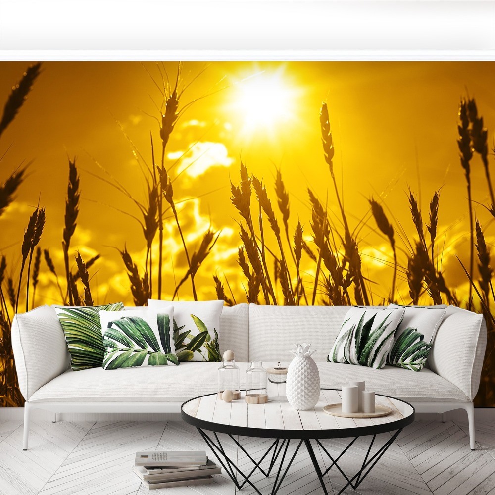 Beautiful Wheat Field, 16:9 Wallpaper Stock Illustration - Illustration of  crops, fieldphotography: 366487431, image size:1000x1000