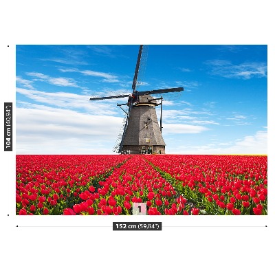 Wallpaper Windmill tulips