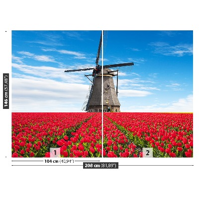 Wallpaper Windmill tulips