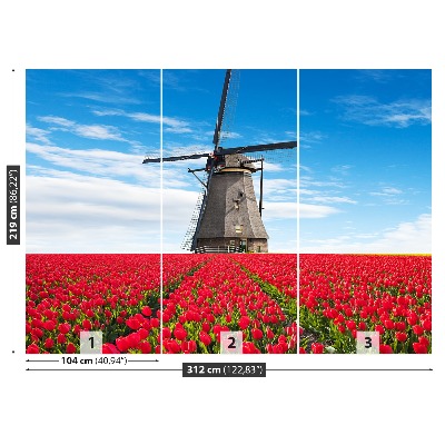 Wallpaper Windmill tulips