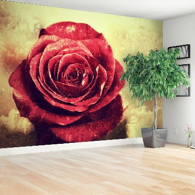 Wallpaper Red rose