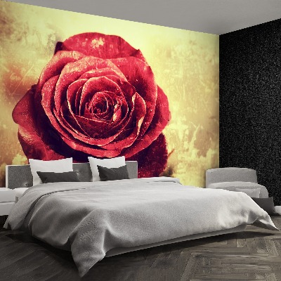 Wallpaper Red rose