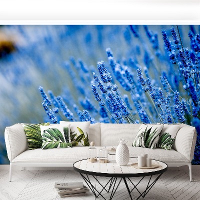 Wallpaper Lavender blue