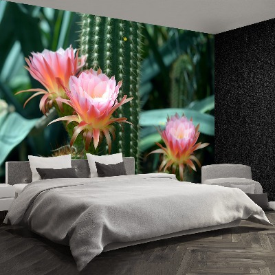 Wallpaper Cactus flower