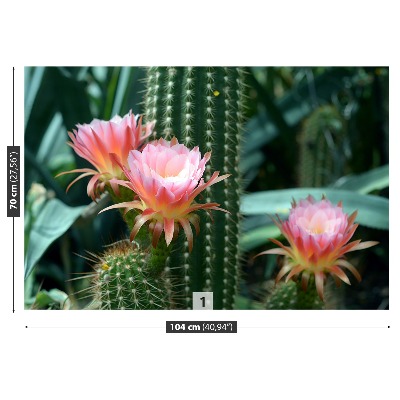 Wallpaper Cactus flower