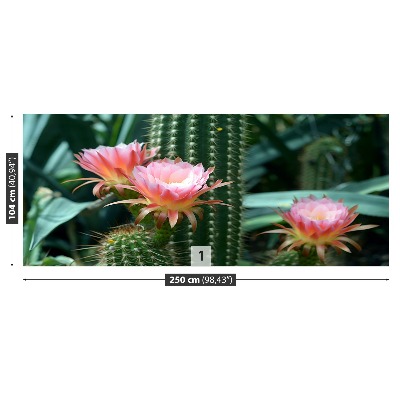 Wallpaper Cactus flower