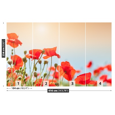 Wallpaper Poppies flowers