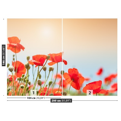 Wallpaper Poppies flowers