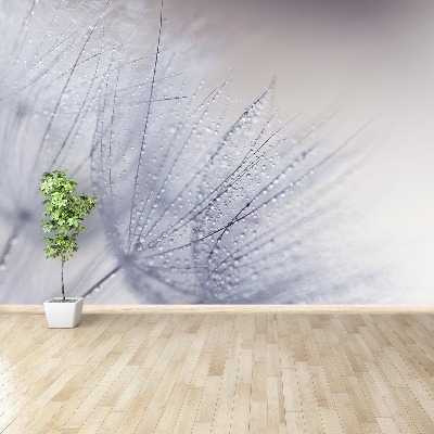 Wallpaper Dandelion seeds