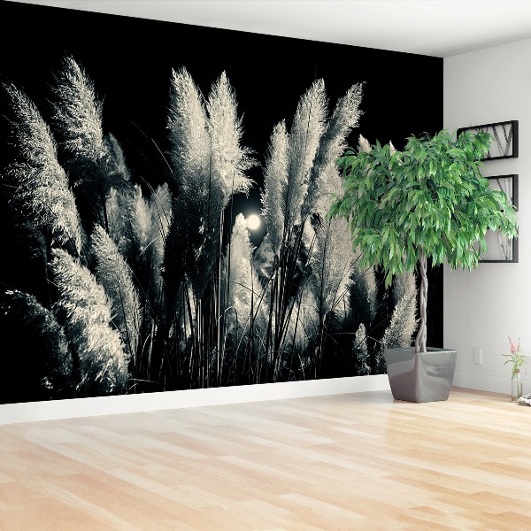 Wallpaper Black cane