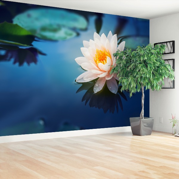 Wallpaper Lotus flower