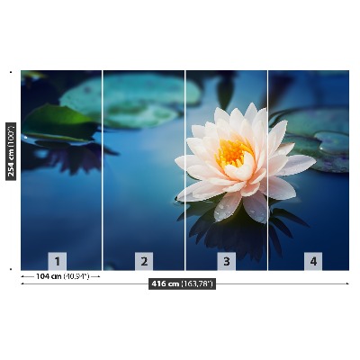 Wallpaper Lotus flower