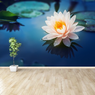 Wallpaper Lotus flower