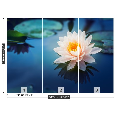 Wallpaper Lotus flower