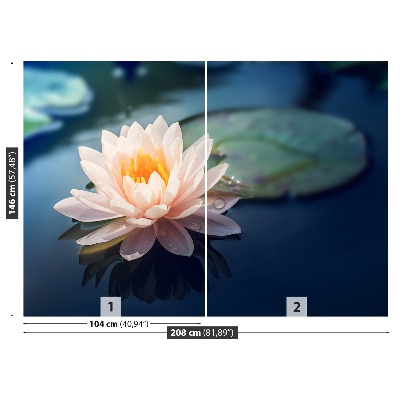 Wallpaper Lotus flower pond