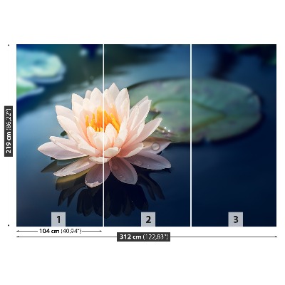 Wallpaper Lotus flower pond