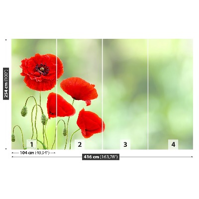 Wallpaper Red poppies