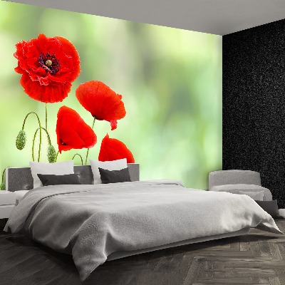 Wallpaper Red poppies