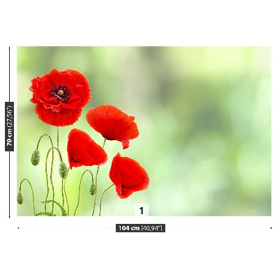 Wallpaper Red poppies