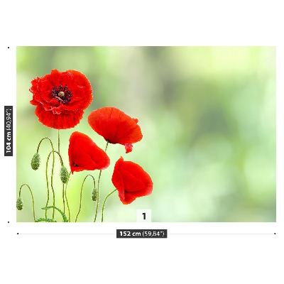 Wallpaper Red poppies