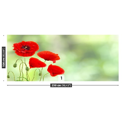 Wallpaper Red poppies