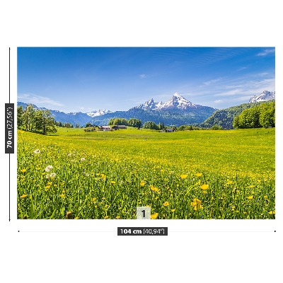 Wallpaper Alpine meadows