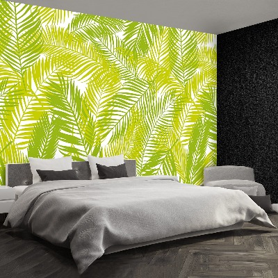 Wallpaper Palm leaves