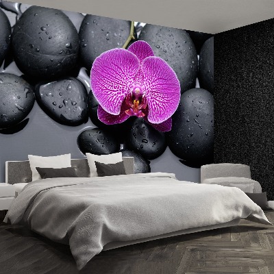 Wallpaper Orchid stones