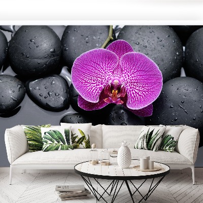 Wallpaper Orchid stones