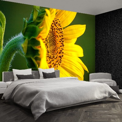 Wallpaper Sunflower