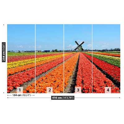 Wallpaper Windmill tulips