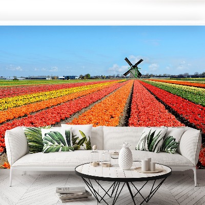 Wallpaper Windmill tulips