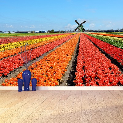 Wallpaper Windmill tulips