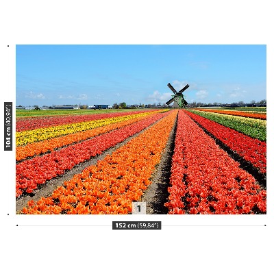 Wallpaper Windmill tulips