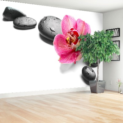 Wallpaper Orchid stones