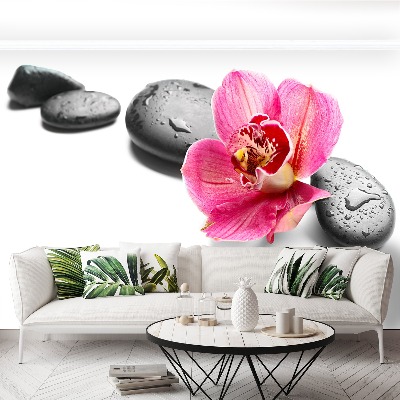 Wallpaper Orchid stones