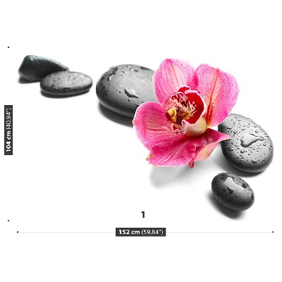 Wallpaper Orchid stones