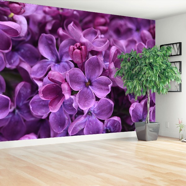 Wallpaper Violet flowers