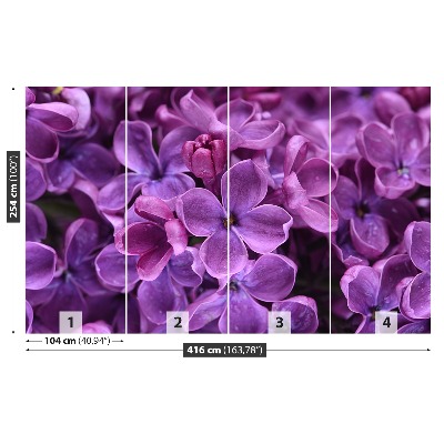 Wallpaper Violet flowers