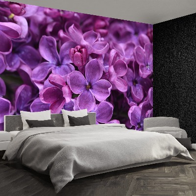 Wallpaper Violet flowers