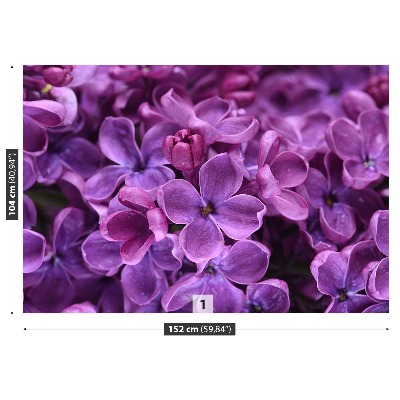 Wallpaper Violet flowers