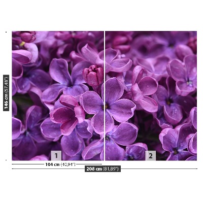 Wallpaper Violet flowers