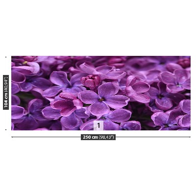 Wallpaper Violet flowers