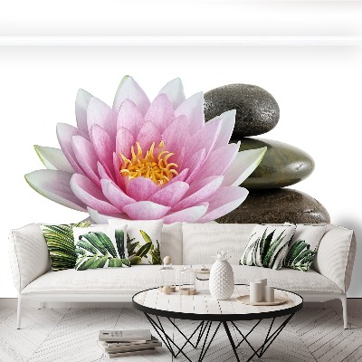 Wallpaper Lotus flower